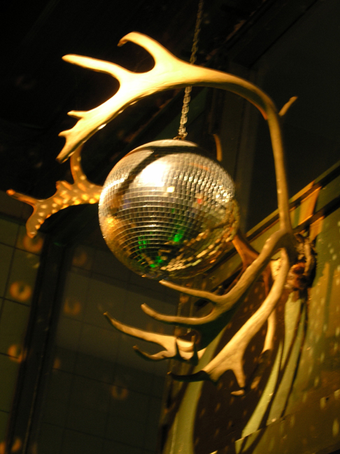 Dekoratives Geweih im Möbel-Olfe